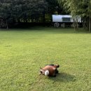 길갈농장 이미지