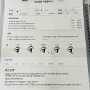 이니브 브로우 네이버블로그