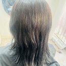 끌레오헤어비스