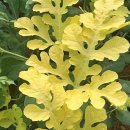 정형주농장 이미지