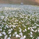 회성동224 이미지