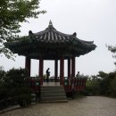 비래초등학교 이미지