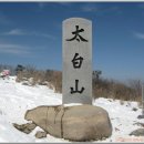 태백산족발 이미지