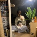 더바나고 이미지