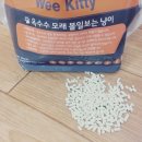 옥수수 펫샵 이미지