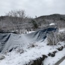 여주-0200 이미지