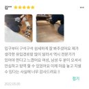해남클린방역 | 김제바퀴벌레퇴치 한번에 퇴치할 수 있는 1등업체에서 받아보세요
