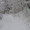 구산제 Daum카페