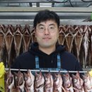 속초코다리조림 이미지