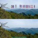 황장산등산로 입구 이미지