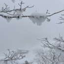안성면109 | [전북/무주] 겨울엔 덕유산 상고대를 보러갑시다... 관광곤도라타고 향적봉까지! (예약방법, 아이젠...