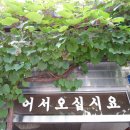 향원식당 이미지