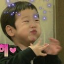 키잎 이미지