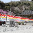 ICHEON12 이미지