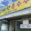 담벼락옥수수 이미지