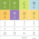 나무랑 풀이랑 | [사주] (사주, 해설공개!!) 사주아이 990원 사주해설 종합사주 사주풀이 후기💘