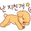 먹-캘리그라피 이미지