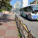 2020-주134 네이버블로그