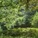 구곡폭포 캠핑장 이미지