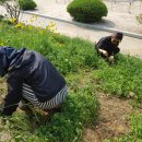 정배초등학교 이미지