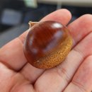 매포쭈꾸미 이미지