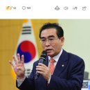 단독] 태영호, 국회 외통위 간사됐다… ‘탈북민 최초’ 상임위 간사 이미지