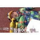 대명체육관 | 봄 사랑 벚꽃 말고..