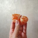 제주한라유통 이미지