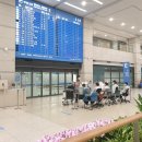 로얄플라잉 이미지