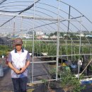 황등농장 이미지