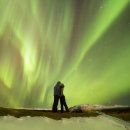 오로라펫 이미지