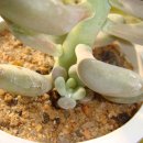 월미농장 이미지