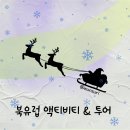 본 (BORN)95 | 유럽 여행 준비 A to Z] 오로라 투어 짧은 후기+북유럽에서 해본 액티비티 추천 및 정보 공유 (비용포함)