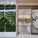 솔빛로 72 이미지