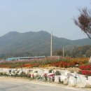 임곡리 충청신문