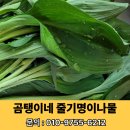 기명농장 이미지