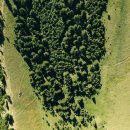 탄소발자국과 지구의 미래 이미지