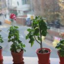 역삼주간보호센터 | 일상에 웃음꽃을 피우다! #일산주간보호센터 봄봄재활주간보호센터 후기