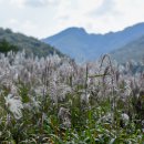 내장산조각공원 이미지