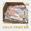 필통 | 크리스마스선물, 초등학생필통 오모스트 카피바라 필통 실사용 후기