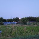 승모농장 이미지