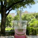 [2nd 뉴욕여행] 여행 4,5일차 (Lucid cafe/Grand Bazaar NYC/Sala Thai/Moma/한밭/Prince tea house)