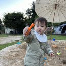 [남양주] 소규모 캠핑장 “별내린 캠핑장” 후기