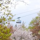 남산뚝배기 이미지