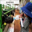 두화목장 네이버블로그