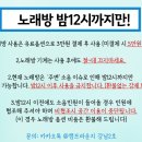 강남파티룸 캠프라운지 포레스트