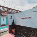 플로리다 봉봉 이미지