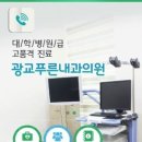 광교푸른내과의원 네이버블로그