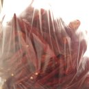 옹골농장 | 좋은배추고르는법