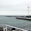 제주가족펜션꿀하우스 이미지